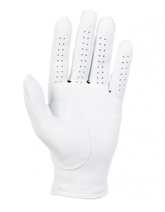 Rianpesn Porte-golf - Porte-gants - Porte-golf avec compartiments rangement  et moule à gants - Accessoire pour golfeurs hommes et femmes : :  Sports et Loisirs